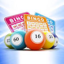 Glo Bingo and entertainment