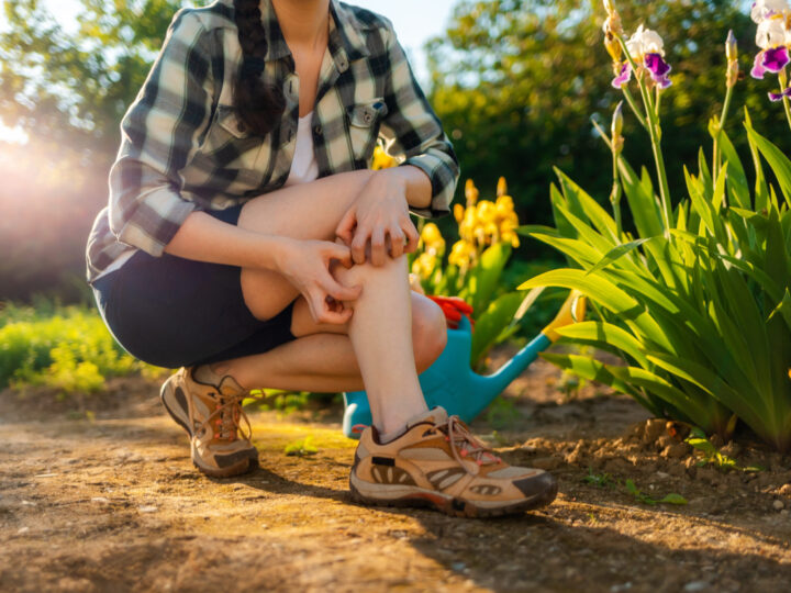 Bug Bites & Rashes: How to Stay Safe Outside